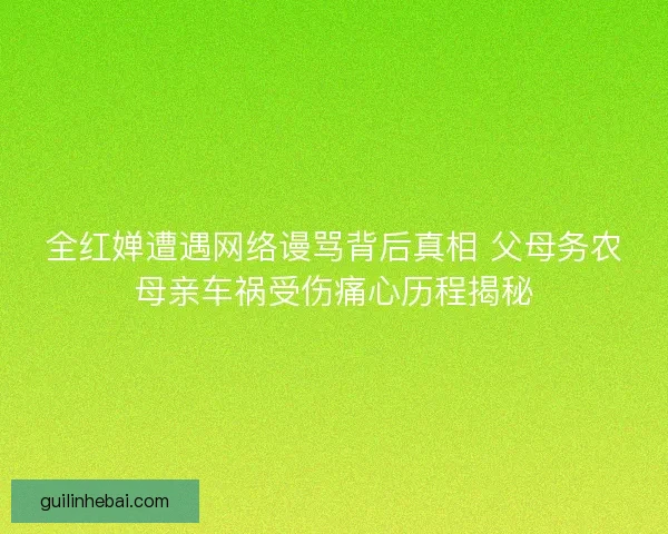 全红婵遭遇网络谩骂背后真相 父母务农母亲车祸受伤痛心历程揭秘