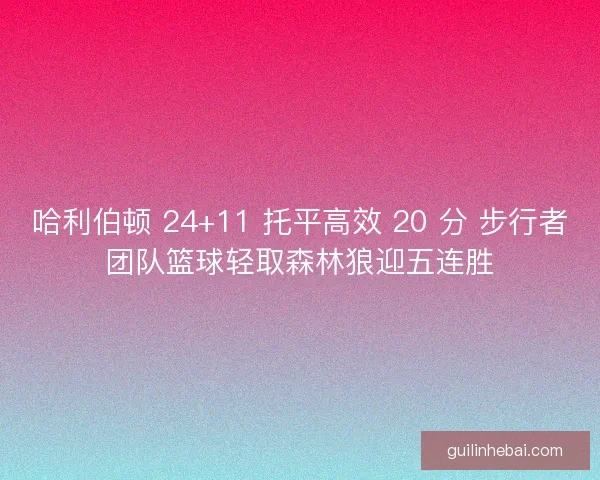哈利伯顿 24+11 托平高效 20 分 步行者团队篮球轻取森林狼迎五连胜
