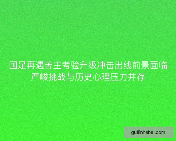 国足再遇苦主考验升级冲击出线前景面临严峻挑战与历史心理压力并存