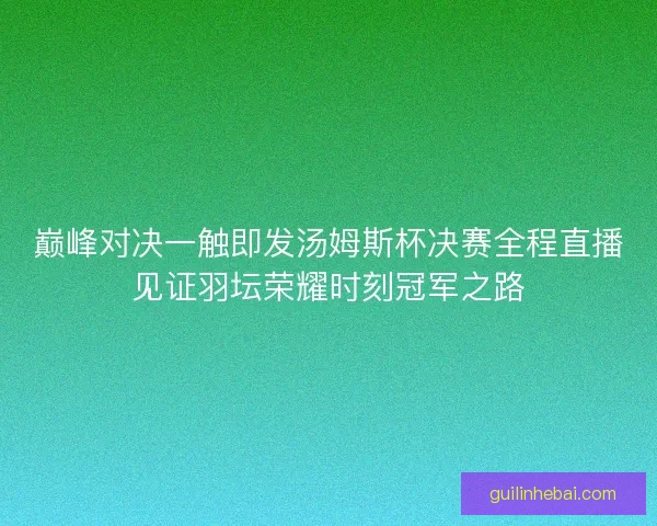 巅峰对决一触即发汤姆斯杯决赛全程直播见证羽坛荣耀时刻冠军之路