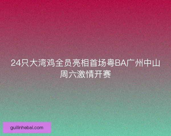24只大湾鸡全员亮相首场粤BA广州中山周六激情开赛 24只大湾鸡全员亮相首场粤BA广州中山周六激情开赛