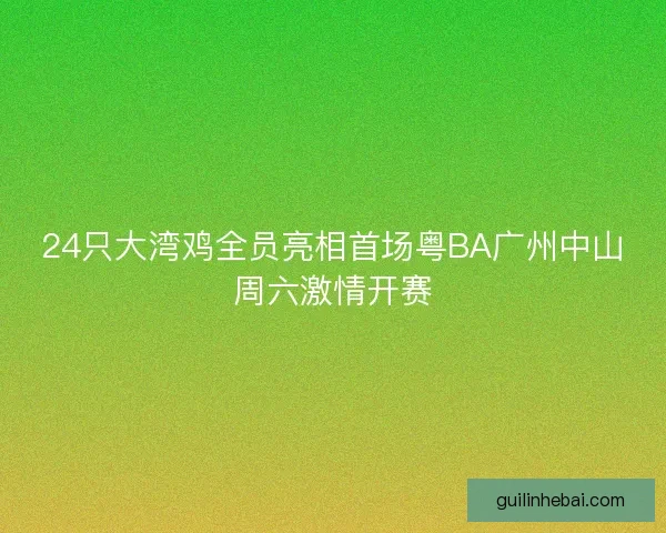 24只大湾鸡全员亮相首场粤BA广州中山周六激情开赛