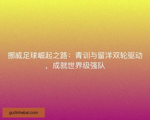挪威足球崛起之路:青训与留洋双轮驱动,成就世界级强队 挪威足球崛起之路:青训与留洋双轮驱动,成就世界级强队