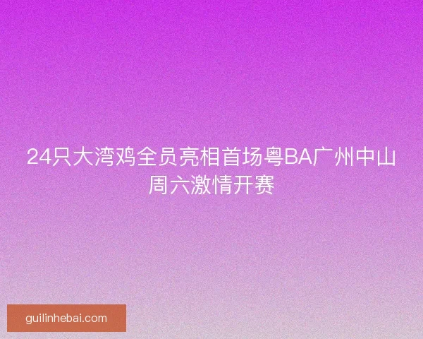 24只大湾鸡全员亮相首场粤BA广州中山周六激情开赛 24只大湾鸡全员亮相首场粤BA广州中山周六激情开赛