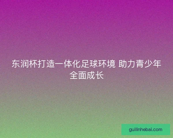 东润杯打造一体化足球环境 助力青少年全面成长 东润杯打造一体化足球环境 助力青少年全面成长