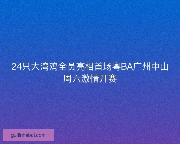 24只大湾鸡全员亮相首场粤BA广州中山周六激情开赛