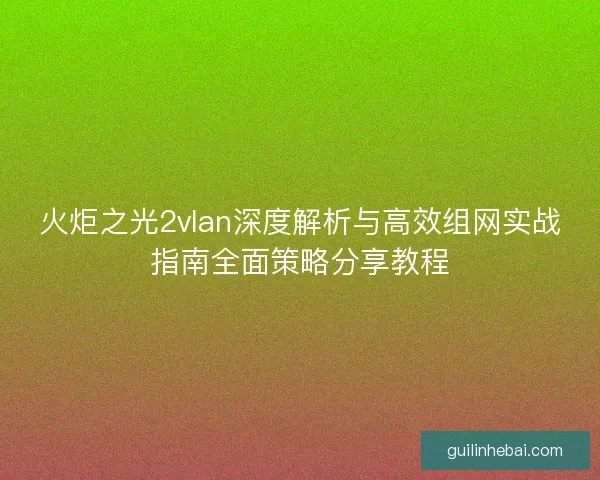 火炬之光2vlan深度解析与高效组网实战指南全面策略分享教程 火炬之光2vlan深度解析与高效组网实战指南全面策略分享教程